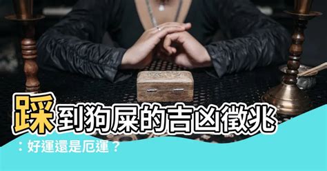 踩到狗大便運氣|左腳踩到狗屎是好運，右腳則會倒霉？ 